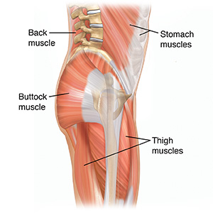 How Your Back Works  Saint Luke's Health System