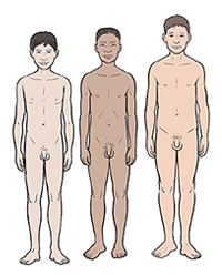 Physical changes that occur during puberty in girls