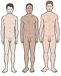 Physical changes that occur during puberty in girls