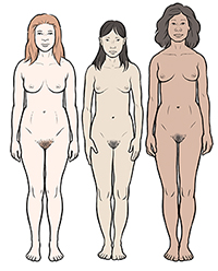 Physical changes in puberty