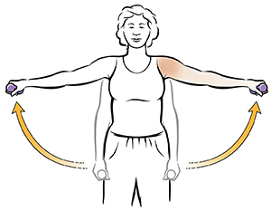 shoulder side raise exercise exercises weights stretches strengthens normally breathe shoulders instructions starting during through before read