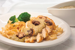 Chicken with mushroom sauce over noodles