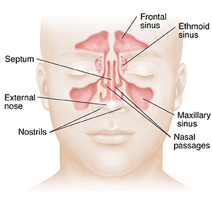 Nose nostrils deals