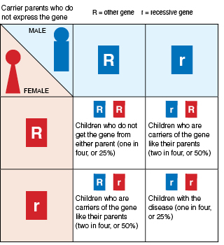 autosomal recessive inheritance