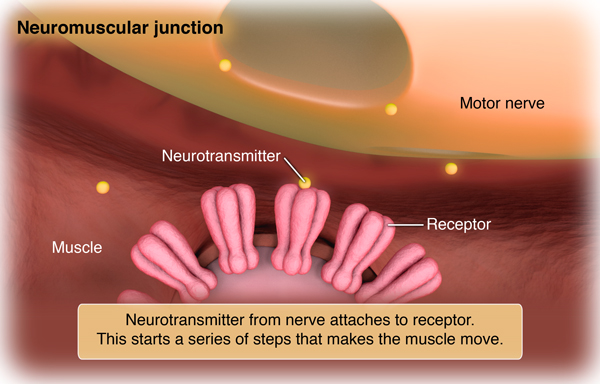 xanax and myasthenia gravis