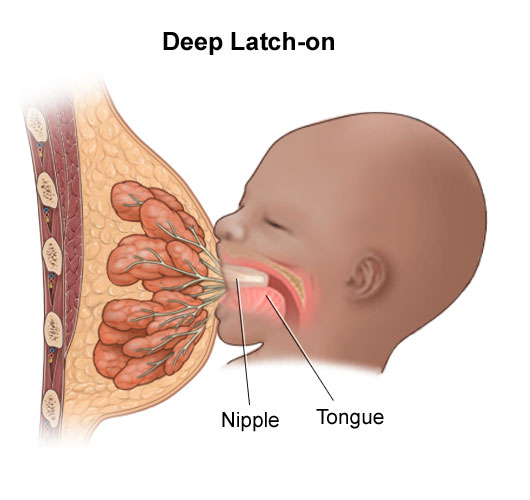 deep latch breastfeeding